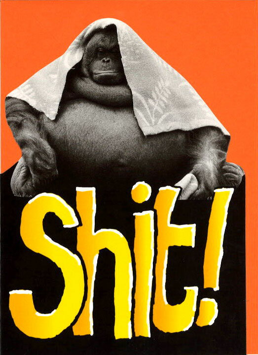 グリーティングカード 誕生日 バースデー モノクロダイカット「ゴリラ:shit!」封筒184×133mm モノクロ写真 動物 メッセージカード 輸入雑貨(PHA...