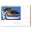 グリーティングカード 多目的 リボンコレクション「おやすみ子猫」封筒105×150mm 動物 メッセージカード 定形サイズ リボン付き 輸入雑貨(RG-0005...