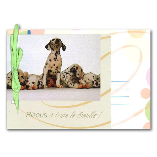 グリーティングカード 多目的 リボンコレクション「5匹のダルメシアン」封筒105×150mm 動物 メッセージカード 定形サイズ リボン付き 輸入雑貨(RG-0...