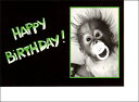 グリーティングカード【誕生日/バースデー】「サル:HAPPY BIRTHDAY!」【封筒付き/白】【封筒サイズ/152×111mm】猿 動物 モノクロ写真 メッ...