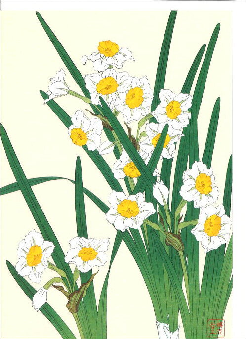 ꡼ƥ󥰥 ¿Ū ϸ꾩Ʋֿ() 126175mm   å  ե(HZG9706)