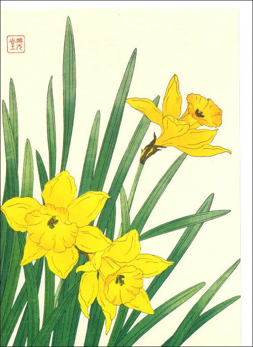 グリーティングカード 多目的 河原崎奨堂「喇叭水仙(ラッパスイセン)」 封筒126×175mm アート 花 メッセージカード おしゃれ ギフト(HZG9707)