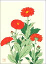 グリーティングカード 多目的 河原崎奨堂「金盞アート 花(キンセンカ)」 封筒126×175mm アート 花 メッセージカード おしゃれ ギフト(HZG9708...