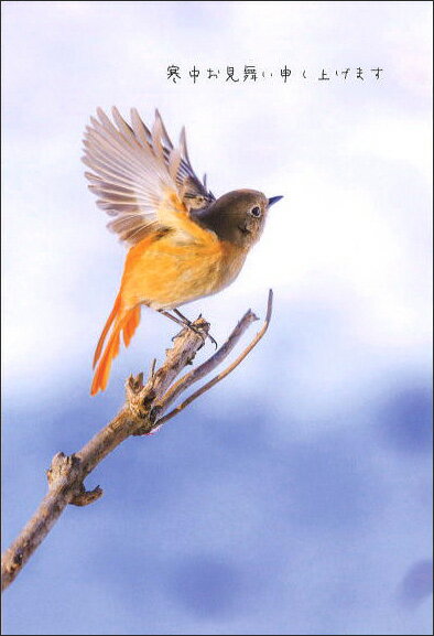 ポストカード3枚セット 寒中見舞い「HOPE」(愛知県犬山市)冬 郵便はがき メッセージカード 写真面筆記可(KM035)