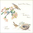 グリーティングカード【マザーズデイ/母の日】「鳥と花」【封筒サイズ/163×163mm(定形外)】【カードサイズ/158×158mm】【封筒の色/アイボリー】【...