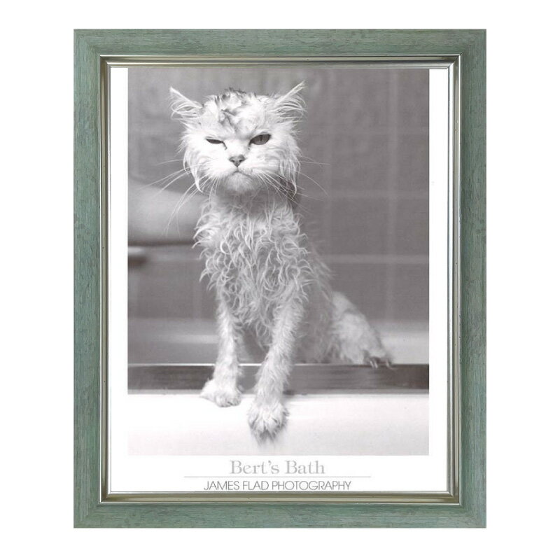 モノクロ写真「バートのお風呂」ポスター入り額縁【ミントステイン】壁掛けフレーム 動物 オフィス イ..