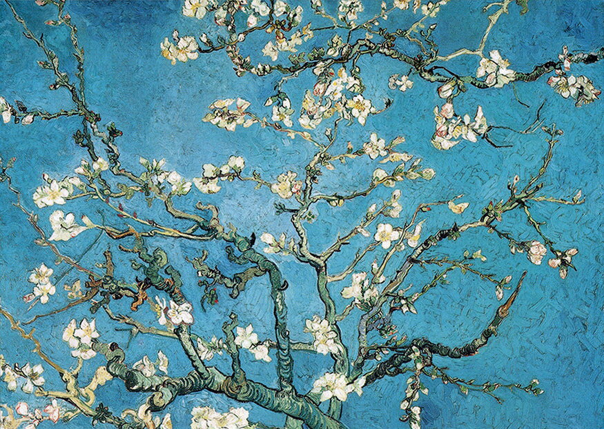 楽天市場】ゴッホ 花咲くアーモンドの木の枝の通販