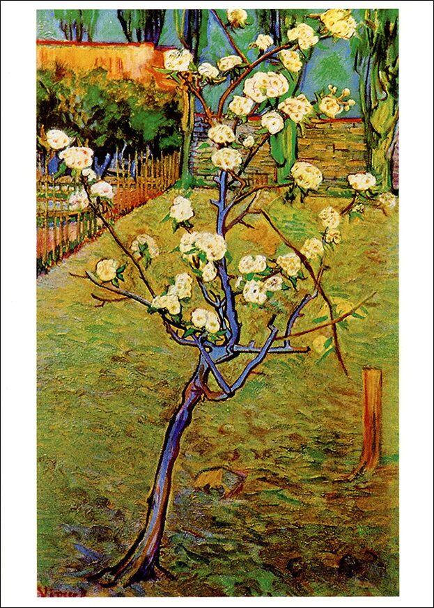 Rakuten - ポストカード アート ゴッホ「小さな木」105×148mm 名画 メッセージカード 郵便はがき コレクション(VD5128)