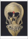 ポストカード アート ダリ「ダンサーと頭蓋骨」 105×148mm 名画 郵便はがき メッセージカード(VD8576)