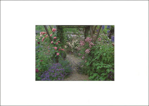 ݥȥ 顼֥̿åĥ꡼ơΥХ105150mm ͹ؤϤ å ǥܥù