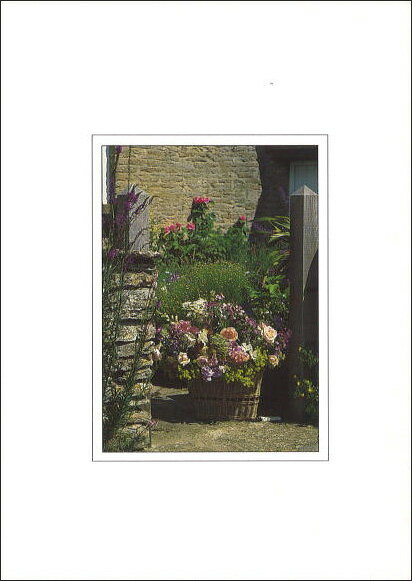 ポストカード カラー写真「バスケットのバラ」約105×150mm 郵便はがき メッセージカード デボス加工あり