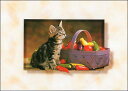ポストカード カラー写真 野菜かごと子猫 105×150mm 郵便はがき 絵はがき メッセージカード