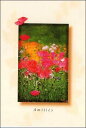 ポストカード カラー写真 ピンクの花 105×150mm 郵便はがき 絵はがき メッセージカード