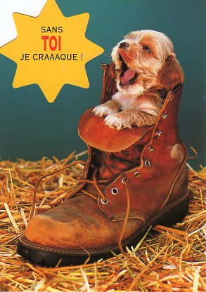 ポストカード 【カラー写真】【ダイカットタイプ】【定形外】ブーツに入った子犬
