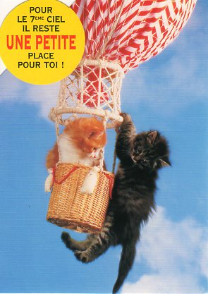 Rakuten - ダイカットポストカード カラー写真「気球に乗った2匹の子猫」約105×150mm 郵便はがきメッセージカード