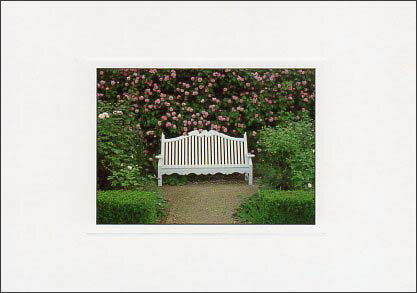 ポストカード カラー写真「ベンチとピンクのバラ」約105×150mm 郵便はがき メッセージカード デボス加工あり