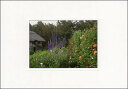 ポストカード カラー写真「花とコテージ」約105×150mm 郵便はがき メッセージカード デボス加工あり