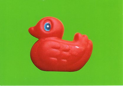 ポストカード カラー写真「赤色のアヒル」105×150mm 郵便はがき メッセージカード