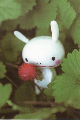 ポストカード カラー写真 Seisuke「赤い実と小さな生き物」100×148mm 郵便はがき メッセージカード