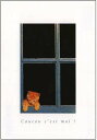 ポストカード カラー写真 窓辺の子猫 105×150mm 郵便はがき 絵はがき メッセージカード