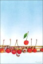 ポストカード イラスト 山田和明「Eight Cherries」100×148mm 絵本作家 さくらんぼ 楽器 音楽 ミュージック 郵便はがき メッセージカード(KY100)