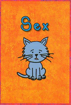 ポストカード イラスト ディックスハウス「性」105×150mm 郵便はがき メッセージカード(DHB308)