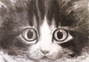 ポストカード 中浜稔「驚愕」105×150mm 猫 ネコ 墨絵作家 アート グッズ かわいい グッズ(HWM-105)
