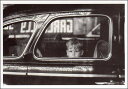ポストカード モノクロ写真「車の中の男の子」105×150mm メッセージカード 郵便はがき ビンテージ ヴィンテージ 年代物