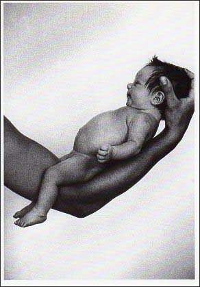 桼˥ŷԾŹ㤨֥ݥȥ Υ֤̿ӡ105150mm å ӥơ ơ ǯʪפβǤʤ198ߤˤʤޤ