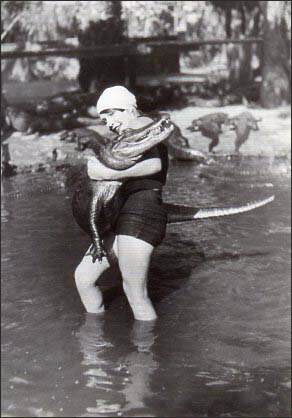 ݥȥ Υ֥̿ˤ105150mm å ӥơ ơ ǯʪ