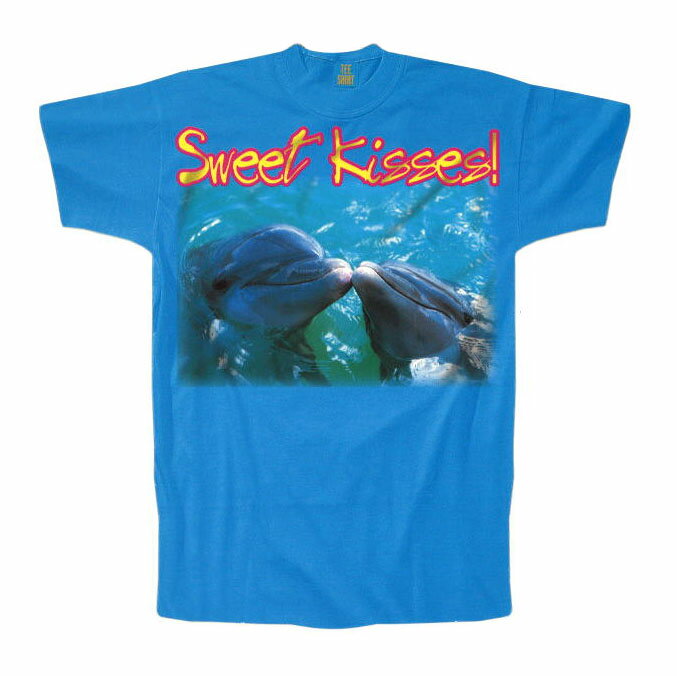 Tシャツ型ダイカットポストカード カラー写真「SWEET KISSES！」150×150mm サマーカード ブルー イルカ 海 メッセージカード 夏物 暑中見舞い(T-615)