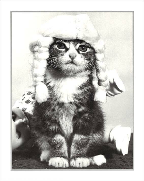 ポスター 【モノクロ写真】「三つ編みヘアの猫/あなたの名誉」【サイズ/240×300mm】【厚めの紙でできたポスターです】(PCD-181)