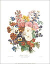 ポスター 【アート】アンドリュー「1856年1月6日」【280×360mm】(VL002)【母の日/マザーズデイ】
