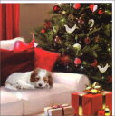 グリーティングカード 【クリスマス】白いソファで眠る犬(XMWC0058)
