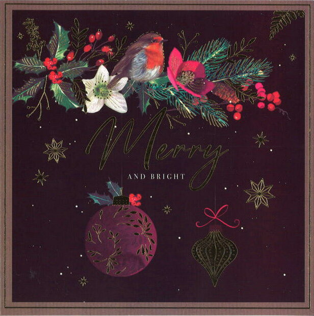 ꡼ƥ󥰥ɡڥꥹޥ֥ۡʥȤȥӥ դ/ۡ/163163mmۥå ե(DELP0001-3)