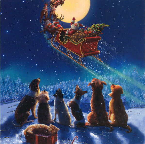 グリーティングカード【クリスマス】「サンタを見送る犬たち」 【封筒付き/白】【封筒サイズ/163×163mm】メッセージカード ギフト(PSLM0004-1)