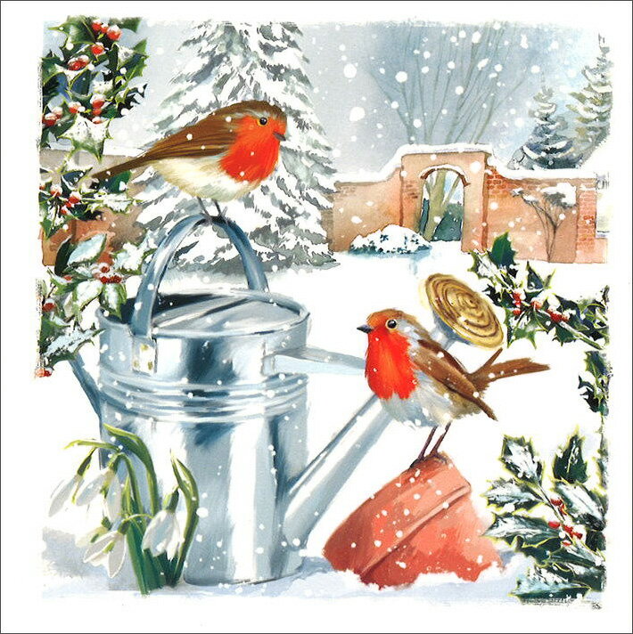 グリーティングカード クリスマス「ジョウロとロビン」封筒127×127mm イラスト メッセージカード