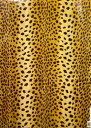 ラッピングペーパー「ヒョウ」 多目的 包装紙 プレゼント 動物 ギフト 贈り物(GW526)