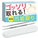 ゾンデ 爪垢取り 甘皮処理 ネイルケア 足 巻き爪 巻爪 やすり