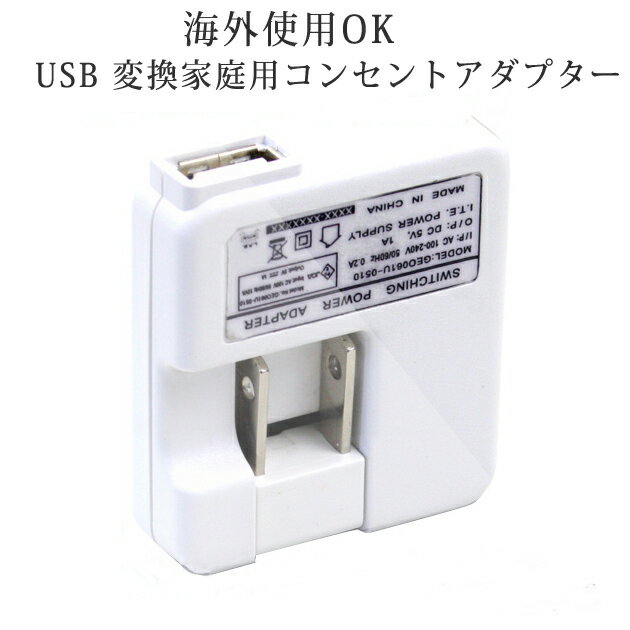 即出荷 PSE認証済！ USB