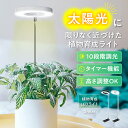 植物育成ライト LED 植物ライト 観葉植物ライト 室内栽培ライト タイマー スタンド付き 9段階の調光 定時機能高さ調節可能 省エネ 低消耗 太陽光模擬 室内栽培用 苗木栽培 家庭菜園