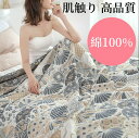 【送料無料】 タオルケット シングル ダブル オールシーズン 肌触り 高品質 綿100% 薄くて軽い 乾きやすい タオル地 タオルブランケット ギフト お中元 ...