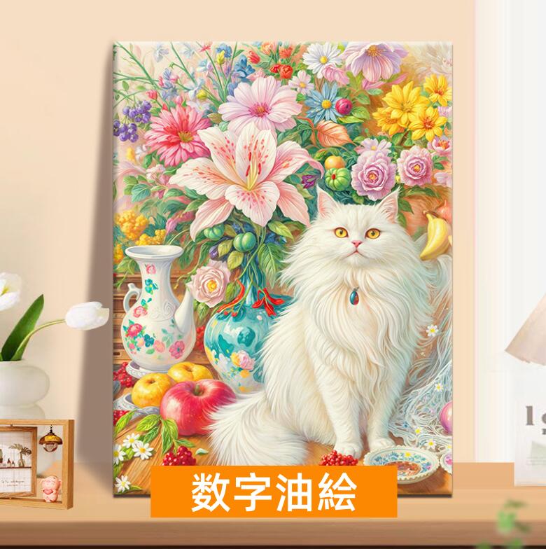     ƥꥢ  å  ɳݤ   ɤ골 ͤ ɤ골 ɤ골 å å ʲ ...