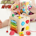 【送料無料】 知育玩具 モンテッソーリ 出産お祝い 1歳 1歳半 2歳 3歳 4歳 赤ちゃん 木のおもちゃ 遊び箱 ビーズコースター 型はめ パズル ブロック ...