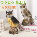 フクロウ 鳥よけ 鳩よけ 鳥対策 本物そっくり 樹脂 防鳥防獣対策 カラス対策 防鳥具 鳥よけグッズ 置物 オーナメント 装飾 ディスプレイ ガーデニング 庭 ...