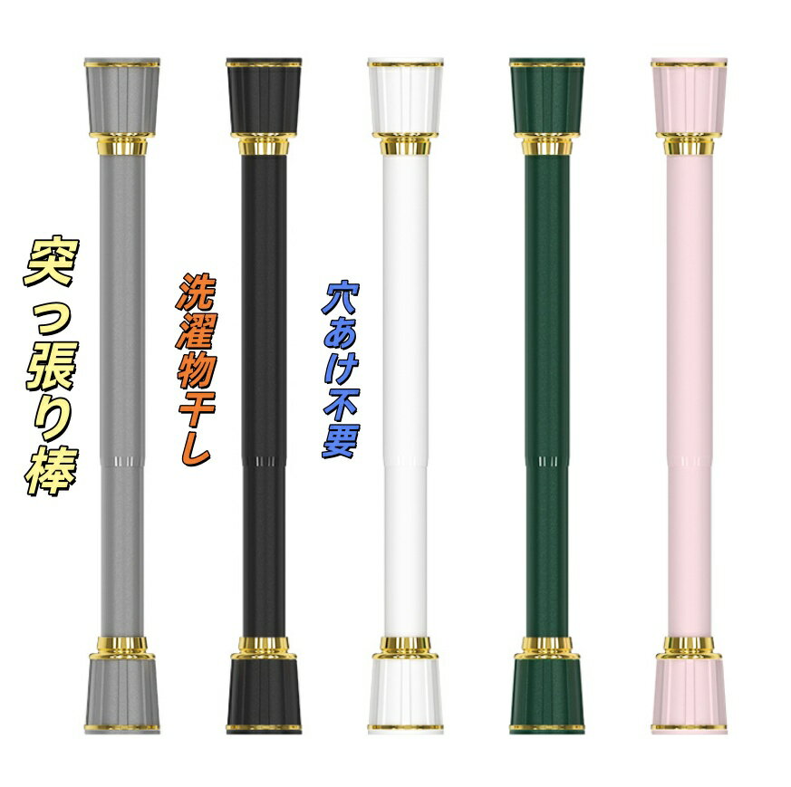 �����ƥ����դ��ͤ�ĥ���� ���� ��5�� 6������ ������ 40-50cm ~ 210-300cm �ĤäѤ��� �ꤢ������ �ϥ󥬡���å� ����� �����ƥ� ...