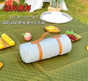 【送料無料】 レジャーシート 厚手 洗える クッション180×200 防水 折りたたみ 軽い コンパクト 大判 大きい 海 おしゃれ 子供 遠足 キャンプ ピク...