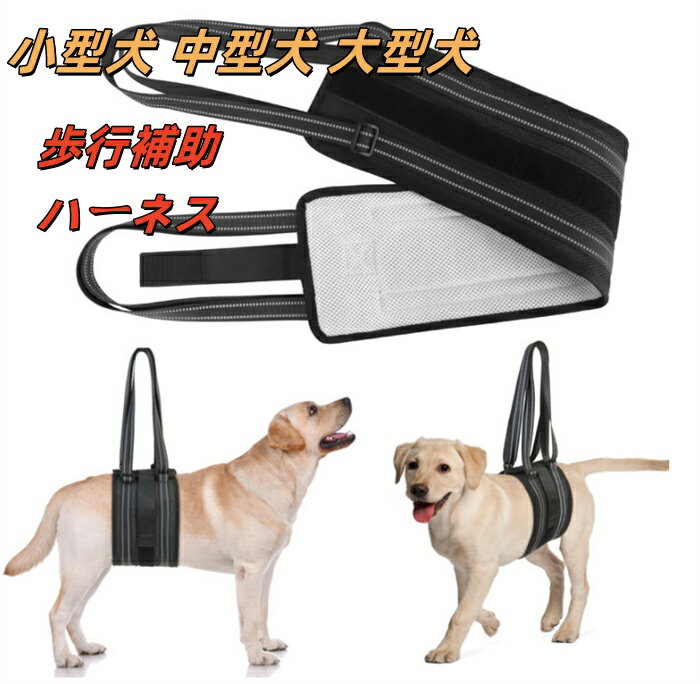  ϡͥ   ­ϡͥ   ϡͥ ϥӥ ƹ ­  淿 ɥåϡͥ Ϸ ...