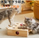 10%クーポン発行中!猫 おもちゃ 猫じゃらし 木製 モグラ叩き ネコ ねこのおもちゃ マウス ネズミ 知育玩具 自分で遊ぶ好奇心をくすぐる もぐらたたき 運動...