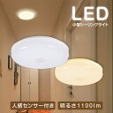 「楽天スーパSALE限定 2点購入で1点あたり1,292円~」LED シーリングライト 小型 コンパクト センサーライト コンセント 人感センサー 付き ライト 節電 自動点灯 明るさ 感知 夜間ライト 薄型 常夜灯 補助灯 室内照明 室内 階段 玄関 廊下 転倒防止 安全 寝室